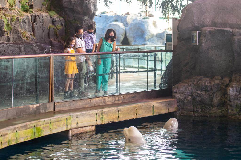 2021_0913_Shedd_Abel_Arciniega_04 (1)